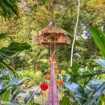 The Coolest Treehouse Lodges In Panama